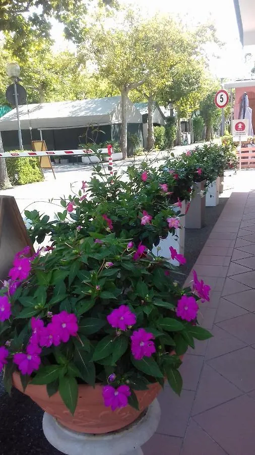 Camping Calatella Parco Di Vacanza マリーナ・ディ・マッサ